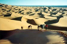 Morocco-Morocco-The Valley of Roses